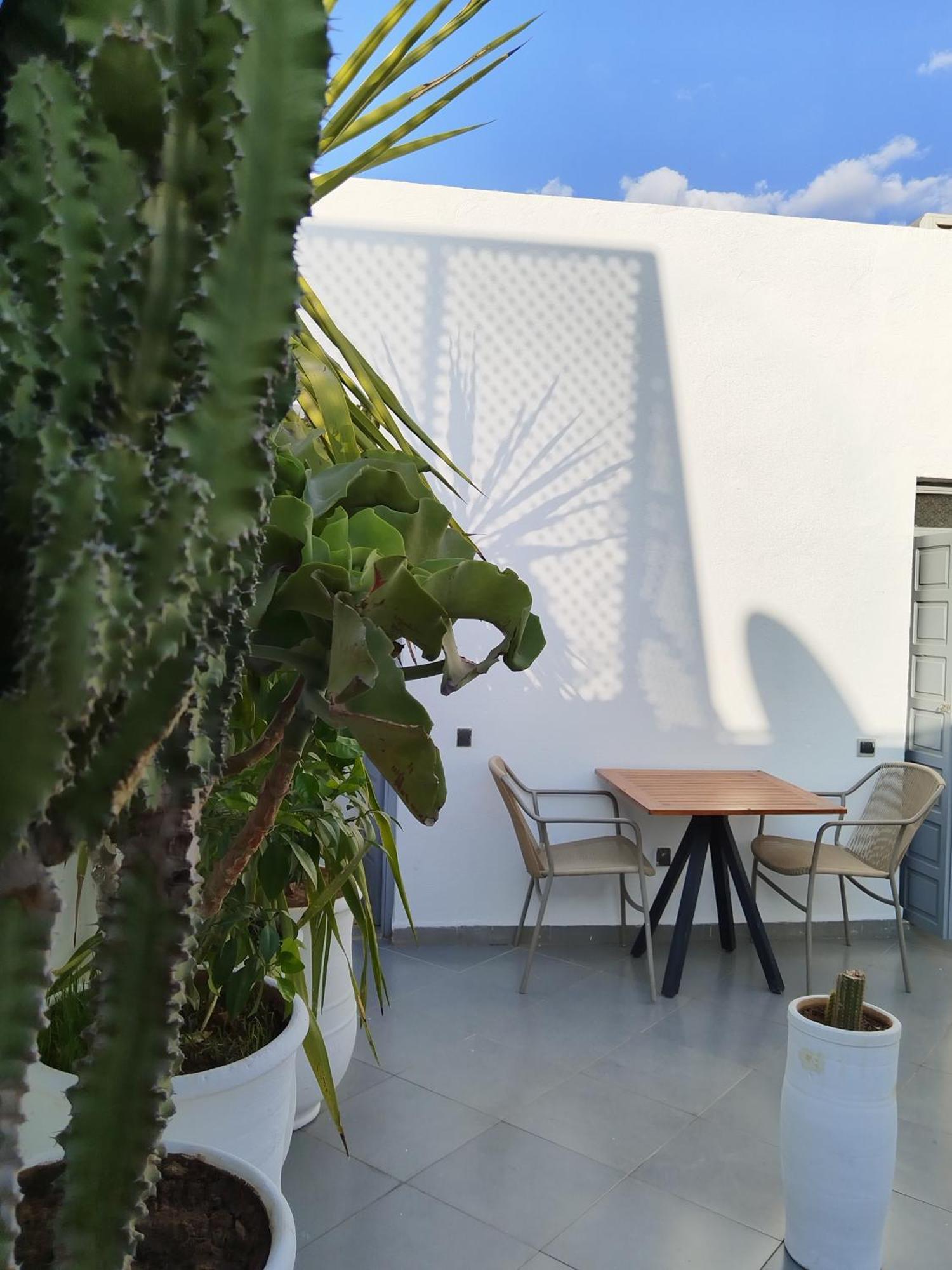 מרקש Riad L'Arganier מראה חיצוני תמונה